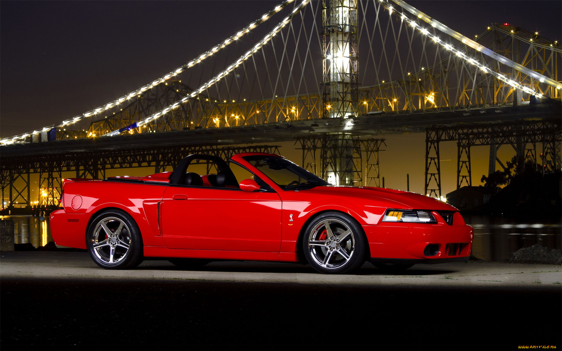 , mustang